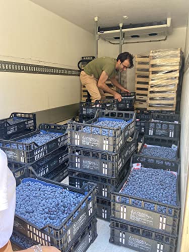 Lake Como Blueberry Nectar - Lombardia - 7.4 oz