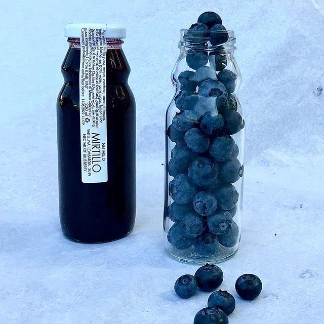 Lake Como Blueberry Nectar - Lombardia - 7.4 oz