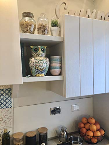 Hand-Painted Italian Ceramic Owl Cookies Jar by Parrini