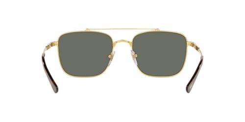 Persol PO2487S Gold/Havana/Green Polarized Sunglasses, 55mm