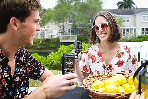 Fonti Di Crodo Limonata, Italian Sparkling Lemonade 11.2oz (24 pack)