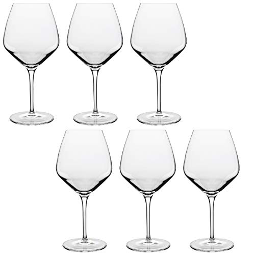 Set of 6 Luigi Bormioli Atelier Pinot Noir Glasses