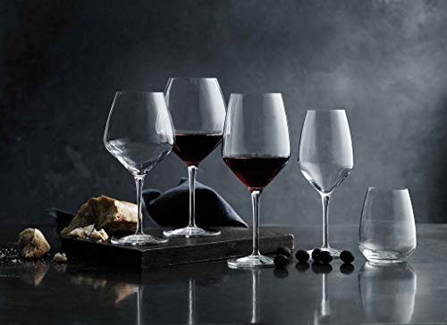 Set of 6 Luigi Bormioli Atelier Pinot Noir Glasses