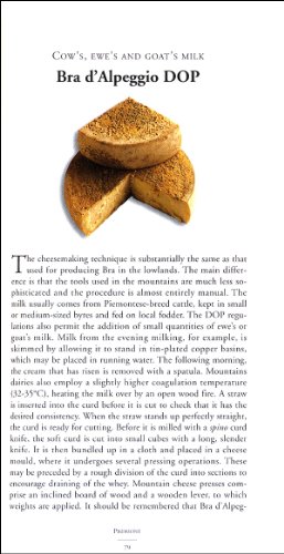 Discover & Appreciate 293 Traditional Italian Cheese Types