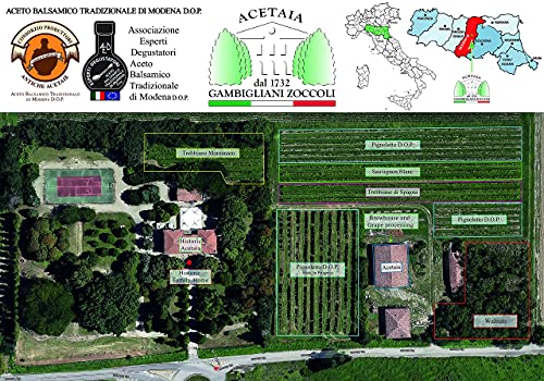 Acetaia Gambigliani Zoccoli: Traditional Balsamic Vinegar 12+ Years