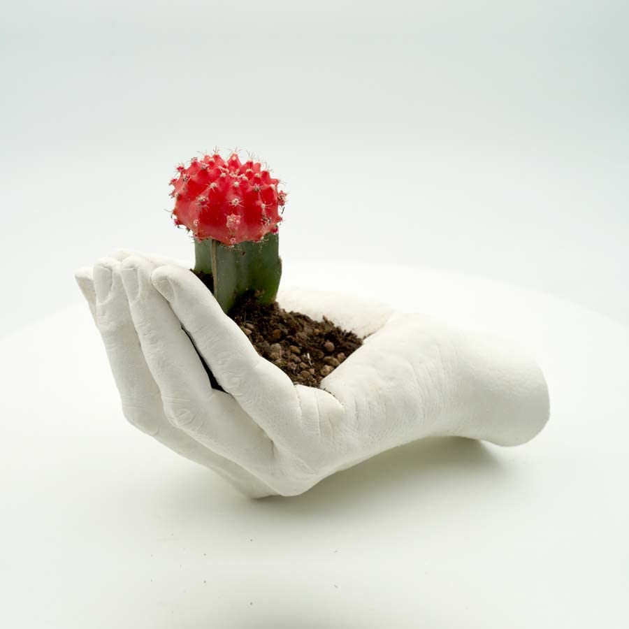 Michelangelo Hands Casting Kit Couples. Plaster Hands Casting Set. Original Gift idea for Couples, Friends and Families. Made in Italy.