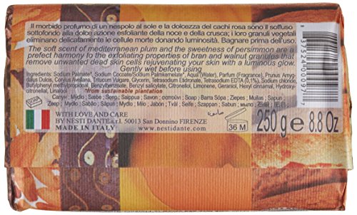 Saponeria Nesti Firenze: "Scrub" Natural Soap with Bran and Walnut Granules, "Philosophia" Line 8.8 Ounces (250g) Packages (Pack of 6) [ Italian Import ]