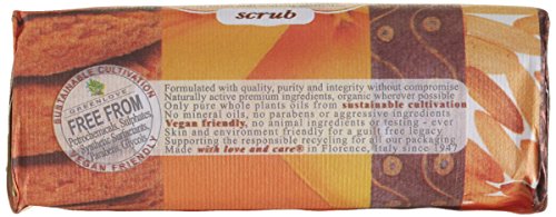 Saponeria Nesti Firenze: "Scrub" Natural Soap with Bran and Walnut Granules, "Philosophia" Line 8.8 Ounces (250g) Packages (Pack of 6) [ Italian Import ]
