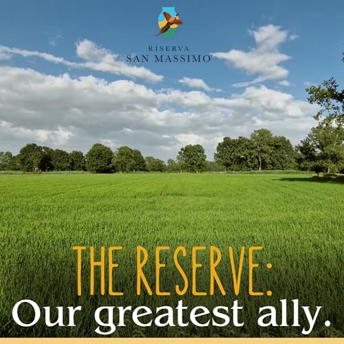 Italian Made Ultra Premium Carnaroli Rice for Risotto