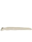 Italian Vintage Ceramic Carrot Olive Boat