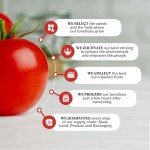 Pomì Tomato Sauce - Made from 100% Fresh Italian Tomatoes - 17.64oz Carton (Pack of 12)