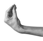 Rao's Homemade Rigatoni Pasta, 16 Oz