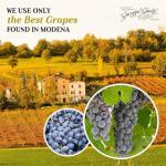 Giusti Giuseppe Modena Balsamic Vinegar, 5 Gold Medals "Banda Rossa" Champagnotta In a Gift Box, from Modena Italy, 8.45 fl oz (250ml)