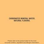 S.Pellegrino Tangerine Wild Strawberry Flavored Mineral Water