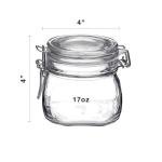 Bormioli Rocco Fido Glass Storage Jars, 17oz, Clear