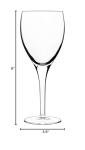 Set of 4 Luigi Bormioli Michelangelo Wine Glasses