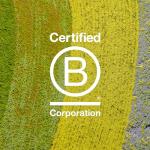 Davines NOUNOU Shampoo | Hydrating Deep Shampoo for Bleached, Permed, Relaxed, Damaged Hair or Very Dry Hair | Replenishes Chemically Processed Hair | 8.45 fl oz (Pack of 1)