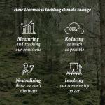 Davines NOUNOU Shampoo | Hydrating Deep Shampoo for Bleached, Permed, Relaxed, Damaged Hair or Very Dry Hair | Replenishes Chemically Processed Hair | 8.45 fl oz (Pack of 1)