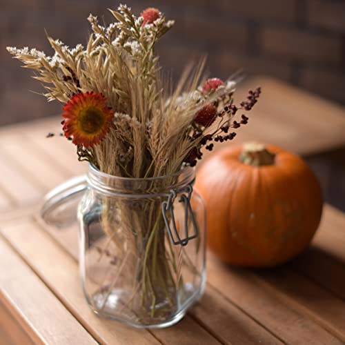 Bormioli Rocco Fido Canning Jars, Set of 3