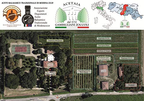 Acetaia Gambigliani Zoccoli - Duet of Traditional Balsamic Vinegar of Modena D.O.P. 2 bottles of 100 ml of ABTM minimum 12 and over 25 years of aging