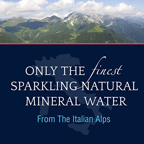 24 Pack S.Pellegrino Sparkling Natural Mineral Water 11.15oz