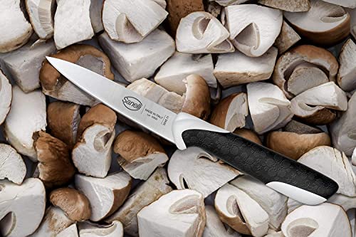 Italian Knife Set: 6 Pcs with Block & Scissors