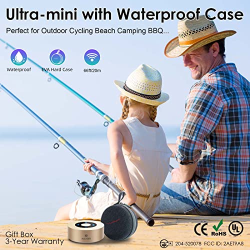 XLEADER [Smart Touch Wireless Speaker SoundAngel A8 (3rd Gen) 5W Small Bluetooth Speaker with Portable Waterproof Case 15H Mic TF Card AUX, Premium Electronic Christmas Xmas Gifts Champagne Gold