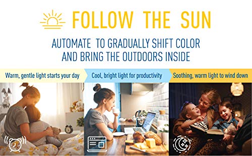 Cree Lighting Connected Max Smart Led Bulb A19 60W Tunable White + Color Changing, 2.4 Ghz, Works With Alexa And Google Home, No Hub Required, Bluetooth + Wifi, 1Pk