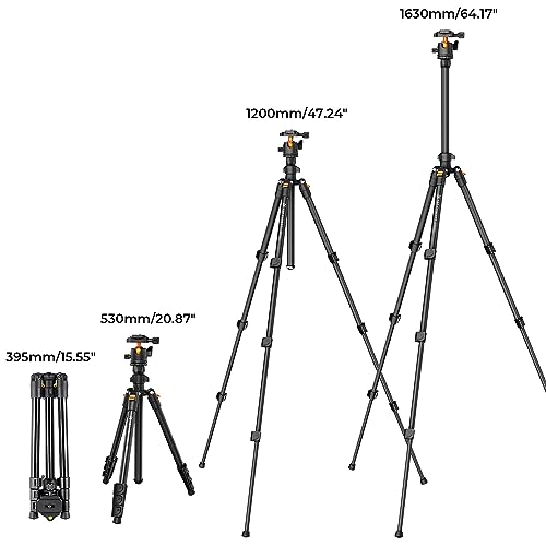 K&F Concept 64 inch/163cm Camera Tripod,Lightweight Travel Outdoor DSLR Tripods with 360 Degree Ball Head Load Capacity 8kg/17.6lbs,Cellphone Clip for Smartphone Live Streaming Vlog K234A0+BH-28L