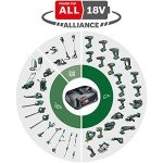 Bosch NanoBlade & Reciprocating Cordless Saws Set