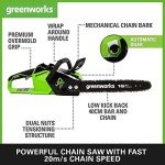Greenworks Cordless Chainsaw with Brushless Motor 40cm