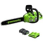 Greenworks 48V Cordless Chainsaw with Batteries