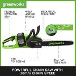 Greenworks 48V Cordless Chainsaw with Batteries