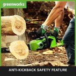 Greenworks Cordless Chainsaw with Brushless Motor 40cm