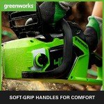Greenworks Cordless Chainsaw with Brushless Motor 40cm