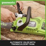 Greenworks 48V Cordless Chainsaw with Batteries