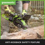 Greenworks 48V Cordless Chainsaw with Batteries