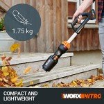 WORX NITRO 18V Cordless Leaf Blower with Kit