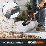 WORX NITRO 18V Cordless Leaf Blower with Kit
