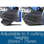 Hyundai Gas Lawn Mower with Roller