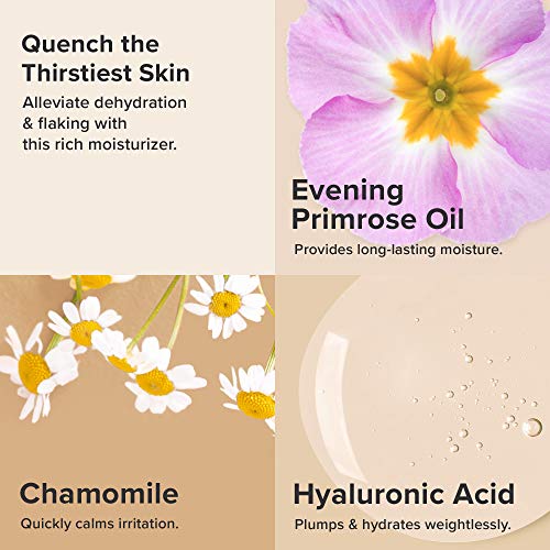 Paula's Choice Hyaluronic Acid Facial Moisturizer Cream