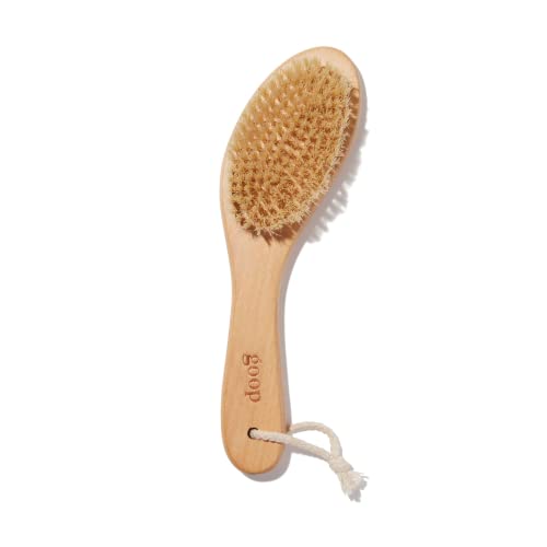 Organic Dry Brush for Smooth & Luminous Skin