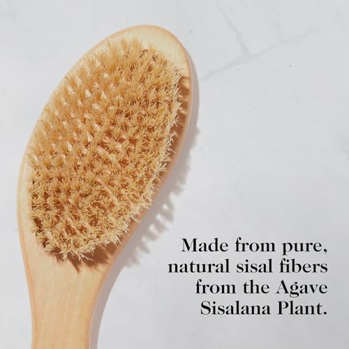 Organic Dry Brush for Smooth & Luminous Skin