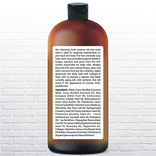 Tea Tree Body Wash Fights Odor & Skin Issues