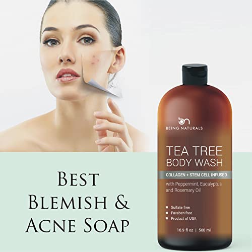 Tea Tree Body Wash Fights Odor & Skin Issues