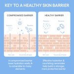 LANEIGE Refillable Toner & Moisturizer with Ceramides