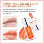 Hydrating Tinted Lip Glow Oil & Gloss