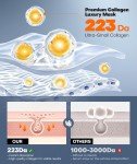Radiant Glow Overnight Collagen Face Mask Set