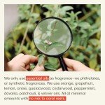 Thrive Natural Care Body Mineral Sunscreen SPF50, Vegan