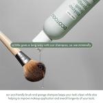 EcoTools Vegan Makeup Brush Cleanser - 6 fl. oz